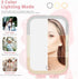 Travel Makeup Mirror, 1000mAh Battery-Powered Illuminated Mirror, 3 Adjustable Light Settings USB-Rechargeable Vanity Mirror with Touch-Sensitive ...