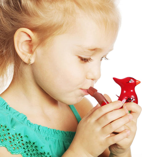 Bird Whistle 6 Pcs Ceramic s Bird Water Whistles Bird Call Whistles Musical Educational with Lanyards Birthday...