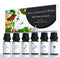 100% Pure Essential Oils Fall Spice Scented Oil 6x10ml for Candle Soap Slime Making Diffuser Home Aromatherapy Scents Gift Set Fennel Cinnamon Gin...