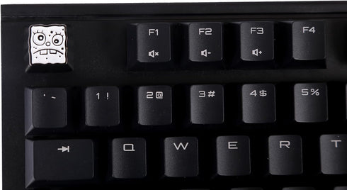 Anime Keycap for Mechanical Gaming Keyboard Cherry MX Profile, ESC R4 Height- Metal...
