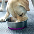 5mm Thick Stainless Steel Dog Bowls, Non-Slip with Silicone Base Cat Dishes, 2 Cups Food Grade BPA Free, Less Sliding, Premium Water and Food Pat ...