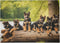 500 Piece Jigsaw Puzzles German Shepherd Puppies Lakeside Retreat Wooden Puzzles for Adults and Kids Development Toys Fun Family Games Gift for An...