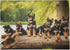 500 Piece Jigsaw Puzzles German Shepherd Puppies Lakeside Retreat Wooden Puzzles for Adults and Kids Development Toys Fun Family Games Gift for An...
