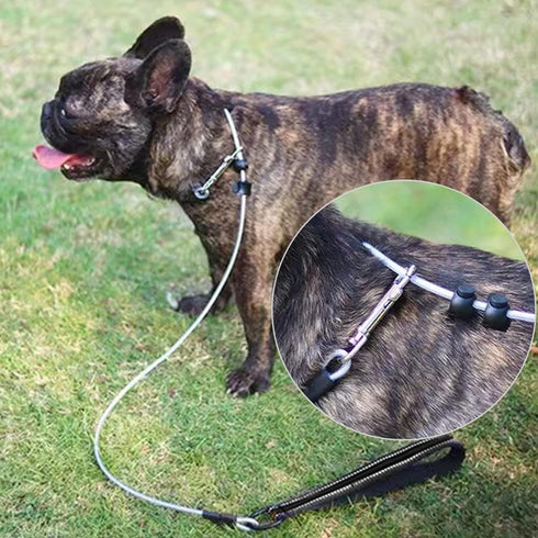 4/6FT Cable Slip Lead Dog Leash, Chew Proof Steel Wire Dog Leash with Reflective Soft Nylon Handle for Teething Puppies Small Medium Dogs Training...
