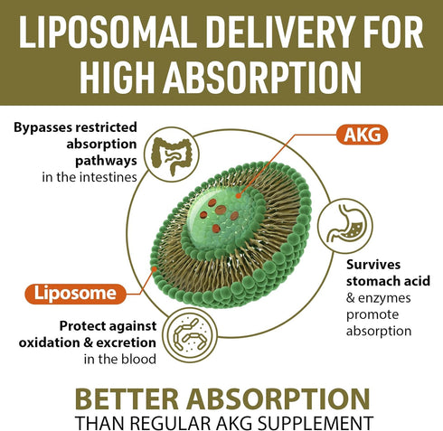 Liposomal Calcium AKG Supplement 1500 MG (Alpha-Ketoglutaric Acid), High Absorption, More Effective Than AAKG, Ca AKG for Longevity, Age Defense, ...