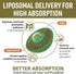 Liposomal Calcium AKG Supplement 1500 MG (Alpha-Ketoglutaric Acid), High Absorption, More Effective Than AAKG, Ca AKG for Longevity, Age Defense, ...
