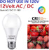 12V LED Light Bulb 60Watt Equivalen E26 7W 630Lm 12 Volt Low Voltage Lights AC/DC 11-18V A19-12volt RV Marine Boat Landscape Lighting-6 Pack(6000K...