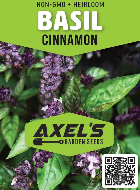 Cinnamon Basil Seeds for Planting Heirloom Non GMO Packets 750 Seeds – Plant & Grow Cinnamon Basil Indoor Hydroponics or Outdoor Gardening, Great ...