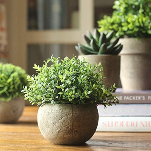 Velener Mini Sage Green Potted Boxwood Topiary Artificial Plants for Home Decor Indoor, Farmhouse House Plant Office Small Desk Shelf Apartment Co...