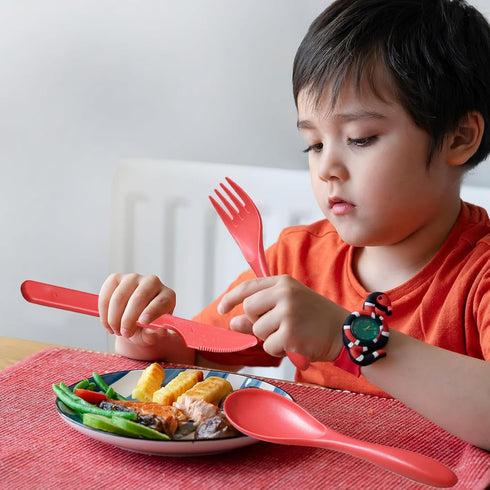 Portable Cutlery Set with Case, Reusable Plastic Knife Fork Spoon Tableware Set, Travel Utensils Set for Camping Picnic Office School or Daily Use...