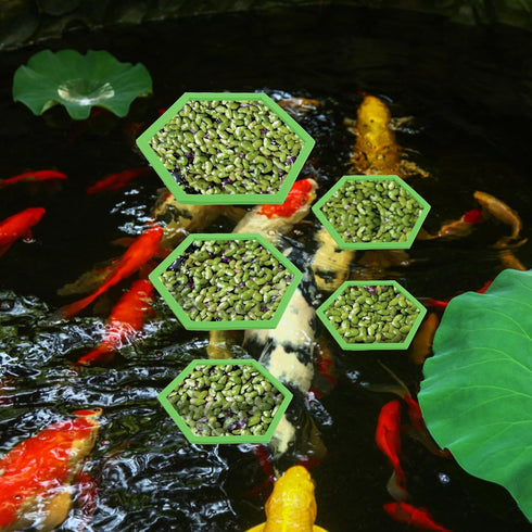 5pcs Aquarium Floating Plant Corral, Foam Fish Feeding Rings Hexagon Fish Tank Food Ring for Keeping Floating Plants in Place (Green)...