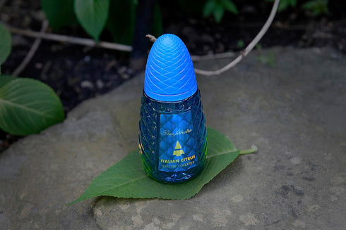 Pino Silvestre Italian Citrus Perfume for Men - Woody, Aromatic Scent - Blended with Lemon, Pine, Apple, Patchouli, and Musk - for Calm, Collectiv...