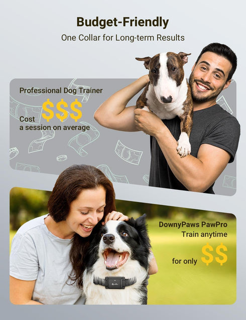 Small Dog Collar E Collar for Dog Training Collar with Remote Shock Collars, 3 Safe Modes Puppy Collar Rechargable Ipx7 Waterproof Receiver Ipx5 W...