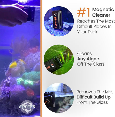 FL!PPER Standard Aquarium Algae Remover for Fish Tank Cleaner Replacement Blades, Pack of 2 - Glass Scraper Blades for Cleaning Kits - Water Clean...