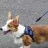 5.9 FT Dog Leash with Comfortable Padded Handle Reflective Material Leash for Large and Small Dogs, Navy Blue...