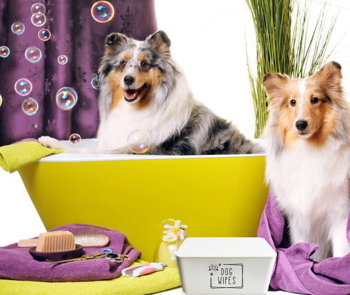 Woof Woof Dog Wipes Dispenser,Upgarde Size(8.2L x 4.9W x 3.9H inches),Dog Paw Butt Wipes Container Storage Box Pet Doggie Grooming Wet Wipes Holde...