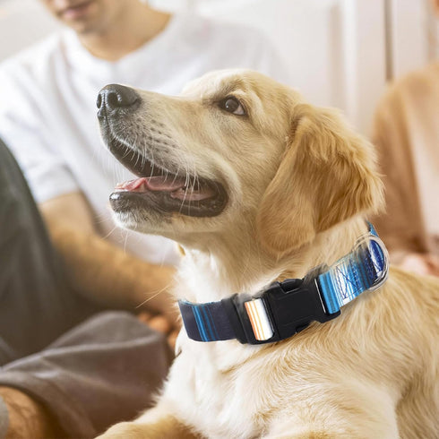 Dog Collars for Large Dogs with Cute Blue Stripes Design for Boys Dog, Adjustable Soft Pet Collar for XS Small Medium Large Dogs (XL)...