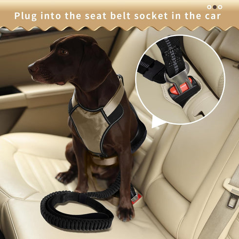 Heavy Duty Dog Leash, 4-6 Feet 2 Comfortable Padded Control Handles, Traction Shock Absorbing Dog Leash for Training, Anti-Pull Reflective Dog Lea...
