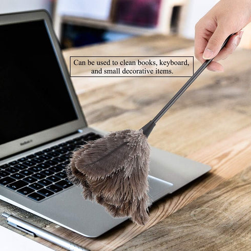 Feather Dusters, Ostrich Feather Duster, Mini Feather Duster Duster, Reusable Feather Dusters Real Feather Duster Home for Keyboard for Books Offi...