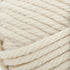 Lion Brand Yarn Hometown Yarn, Super-Bulky Yarn for Knitting, Crocheting, and Crafting, 1 Pack, Houston Cream...