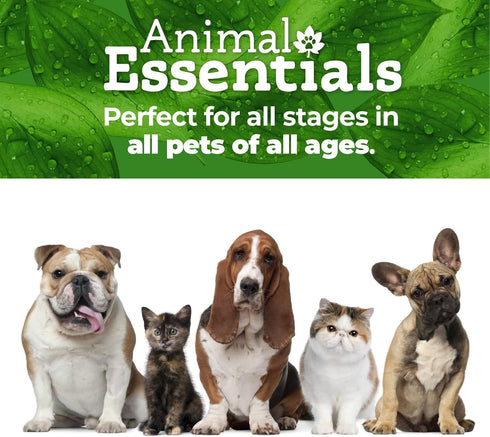 Animal Essentials Breathe EZ for Dogs & Cats - Pet Respiratory Support Supplement, Clear & Easy Breathing, Healthy Respiration - 1 Fl Oz...