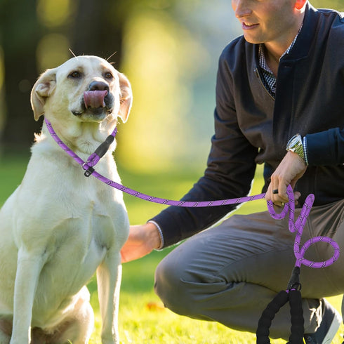 Slip Lead 6 FT for Small and Medium Dogs,Puppy Dog Training Leash Heavy Duty,No Pull Reflective Nylon Dog Leash,Rope Training Leash for Dogs That ...