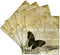 3dRose cst_164525_3 Cafe De Paris Vintage Butterfly Chic Art-Ceramic Tile Coasters, Set of 4...