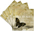 3dRose cst_164525_3 Cafe De Paris Vintage Butterfly Chic Art-Ceramic Tile Coasters, Set of 4...