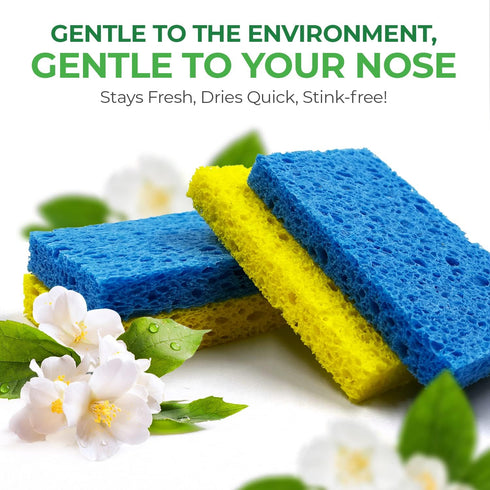 Biodegradable Cellulose Compressed Sponges - Pack of 12 Kitchen Sponges for Cleaning - Heavy Duty and Natural Multipurpose Household Cleaning Spon...