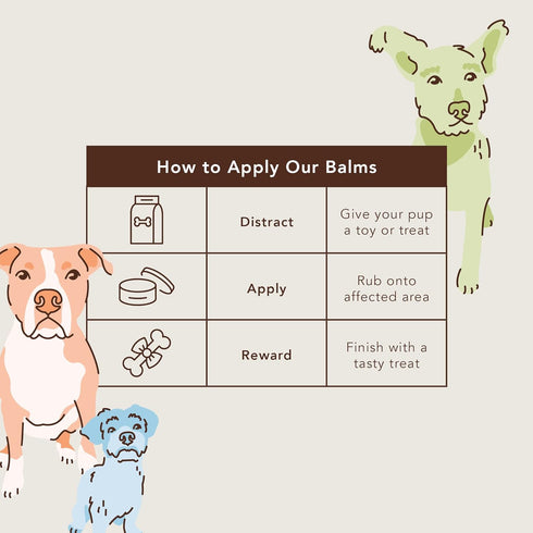 Natural Dog Company Snout Soother - Dog Nose Balm, Travel Stick, 0.15 oz., Dog Balm for Paws and Nose, Moisturizes & Soothes Dry Cracked Noses, Pl...