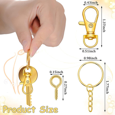 280 Pieces Key Chain Rings Kit Including 35 Pcs Swivel Lobster Clasp Keychain 35 Pcs Key Rings with Chains 210 Pieces Small Screw Eye Pins Hooks f...