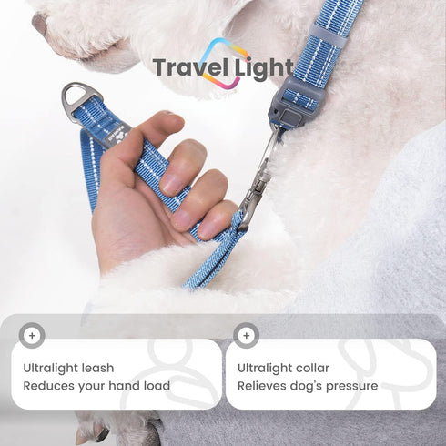 Pawaii Dog Collar and Leash Set, Personalized Dog Collar with Reflective Dog Leash, Dog Collar and Leash for Medium Dogs Adjustable Size...
