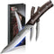 Steak Knives Set Of 2, 4.8 Inch High-Carbon Japanese Stainless Steel Non-serrated Meat Knife With Wood Handle, Damascus Pattern Full Tang Design, ...