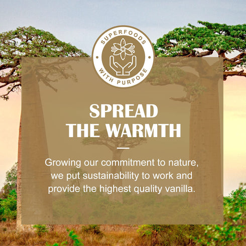 GRELIM Vanilla Bean Powder, 100% Pure Ground Madagascar Vanilla Powder,No Fillers or Additives Great for Baking, Coffee, Smoothies 1.23 Oz (35g)...