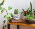 Funny Ceramic Succulent Cactus Planter Pot - I Wet My Plants White Mini Cactus Plant Office Garden Home Decor for Teacher, Mom, Grandma, Plant Lov...