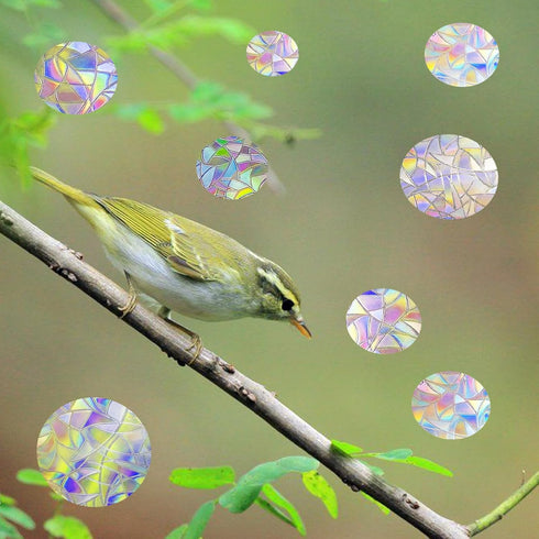 36 Pcs Anti-Collision Window Decals, Rainbow Stickers Circle Window Clings -to Save Birds from Window Collisions,Non Adhesive Prismatic Vinyl Wind...