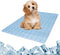 Dogs Cats Pet Cooling Mat, Summer Dog Cooling Pads Summer Sleeping Kennel Mat, Cooling Mat for Dogs Non-Slip for Indoor or Outdoor, Blue S...