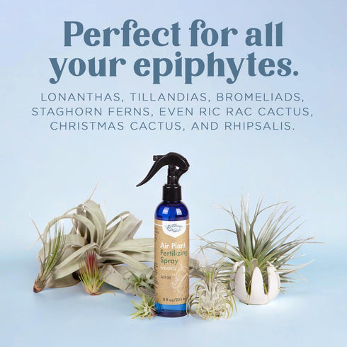 Air Plant Fertilizing Spray by Southside Plants - Fertilizer Mist for Houseplants, Weekly Plant Food - Gentle Mist Formula for Miracle Feed & Grow...