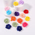 30pcs Baby Girls Alligator Hair Clips Chiffon Flower Hair Barrettes Accessories for Kids Toddler Teens (01)...