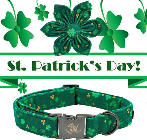 Elegant little tail St. Patrick's Day Dog Collar with Flower, Dog Collar Flowers Green Clover Girl Dog Collar Pet Gift Adjustable Dog Collar for L...