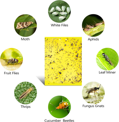 20-Pack Dual-Sided Yellow Sticky Traps for Flying Plant Insect Such as Fungus Gnats, Whiteflies, Aphids, Leafminers, etc (6x8 Inches, Included 20p...
