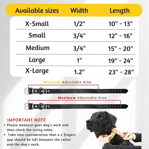 Adityna - Leather Dog Collar for Extra-Small Dogs and Puppies - Classic Style, Soft and Strong, Heavy Duty Black Leather Dog Collars for XSmall Do...