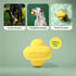 Earth Rated Dog Ball, Interactive Fetch Toy for Small, Medium, and Large Breeds, Comes in Multiple Sizes, Made with Natural Rubber, Perfect for In...