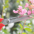 Extra Long Stainless Steel pruners Bonsai Plant Trimming Scissors for thorny roses plant Flowers Harvesting Herbs Fruits or Vegetables prune corne...