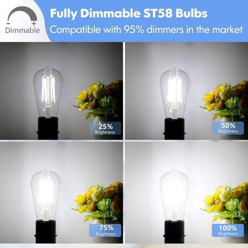 6-Pack Dimmable LED Light Bulbs, 7W 60Watt Equivalent Edison Bulbs, 900LM Ultra Bright LED Bulbs, 5000K Daylight White, ST58 Vintage Antique Bulbs...