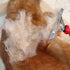 Kopal Metal Grooming Comb for Pets, Stainless Steel Dog and Cat Comb, Rubber Handles for Comfortable Grip - 1 Pack...