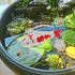 2Pack Ceramic Floating Fish, Aquarium Goldfish Koi Fish Floatable Fish, Realistic Fish, Fish Tank Decor, for Garden, Pond...