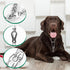 Stainless Steel Dog Training Collar with Quick Release Buckle, Adjustable Chain Collar for Dogs with The Swivel Ring 26in x 4.0mm (Neck Size up to...