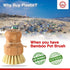 Dish Scrub Brush Bamboo - S&C Kitchen, Cleans Pan/Vegetable/Dishes/Wok, Bamboo Scrub Brush for Kitchen/Bathroom, Made Out of Palm & Sisal Bristles...