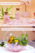 Rose Quartz Healing Crystal Chips Bulk Gemstones Sets Tumbled Crushed Stones Crushed Crystals Natural Rocks for Fountain Rocks Decoration Reiki En...